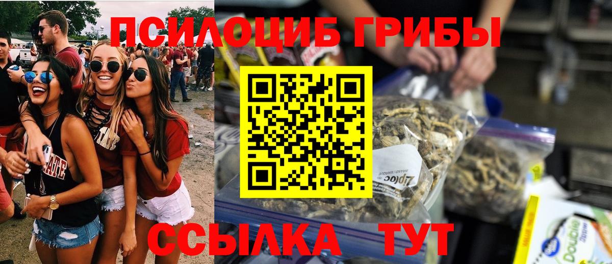 Псилоцибиновые грибы GOLDEN TEACHER  Галлюциногенные грибы Cubensis  Пушкино  Вход с VPN 
